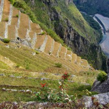Steep terraces down to the valley